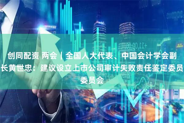 创同配资 两会|全国人大代表、中国会计学会副会长黄世忠:建议设立上市公司审计失败责任鉴定委员会