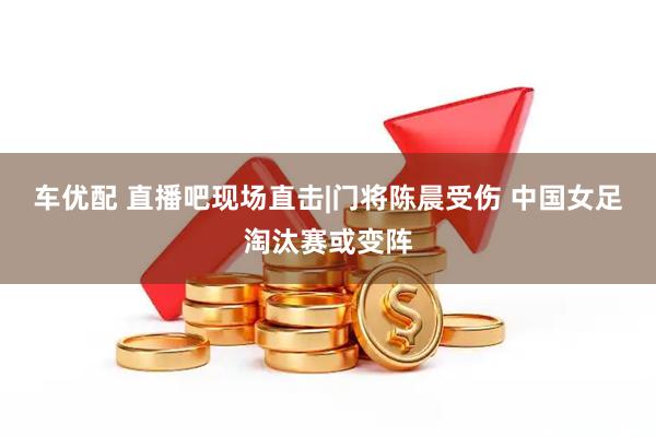 车优配 直播吧现场直击|门将陈晨受伤 中国女足淘汰赛或变阵