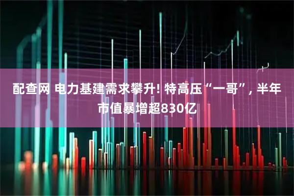 配查网 电力基建需求攀升! 特高压“一哥”, 半年市值暴增超830亿
