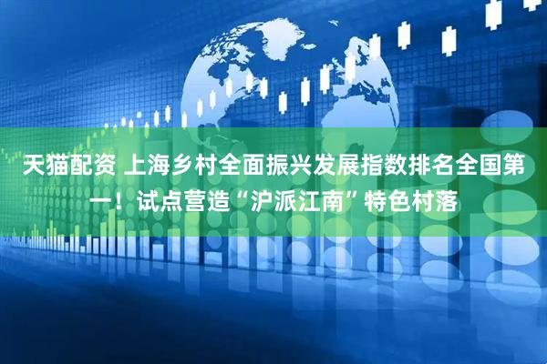 天猫配资 上海乡村全面振兴发展指数排名全国第一！试点营造“沪派江南”特色村落