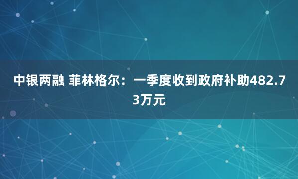 中银两融 菲林格尔：一季度收到政府补助482.73万元
