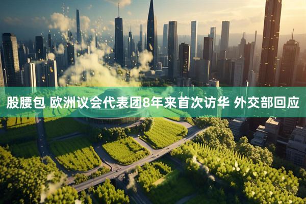 股腰包 欧洲议会代表团8年来首次访华 外交部回应