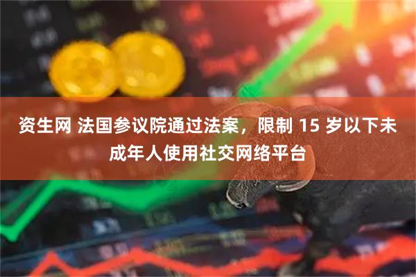 资生网 法国参议院通过法案，限制 15 岁以下未成年人使用社交网络平台