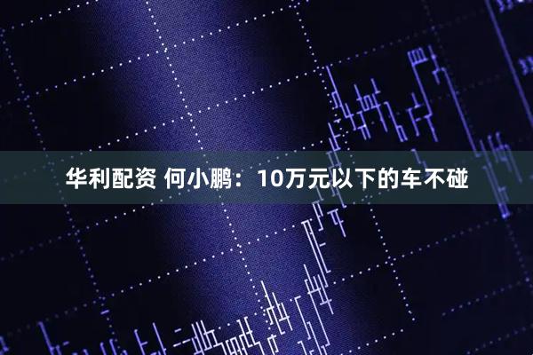 华利配资 何小鹏：10万元以下的车不碰