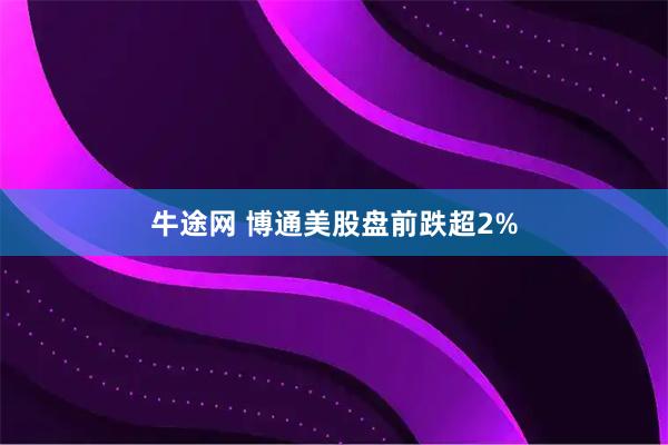牛途网 博通美股盘前跌超2%