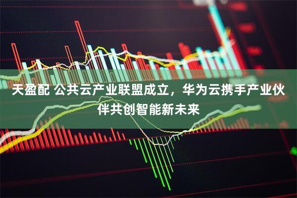 天盈配 公共云产业联盟成立，华为云携手产业伙伴共创智能新未来