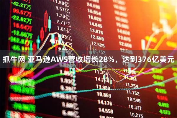 抓牛网 亚马逊AWS营收增长28%，达到376亿美元
