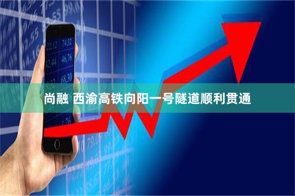 尚融 西渝高铁向阳一号隧道顺利贯通