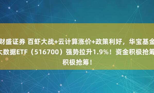 财盛证券 百虾大战+云计算涨价+政策利好，华宝基金大数据ETF（516700）强势拉升1.9%！资金积极抢筹！