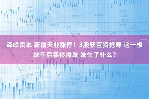 泽峰资本 新疆天业涨停！3股获巨资抢筹 这一板块午后集体爆发 发生了什么？