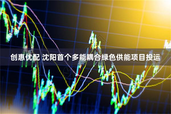 创惠优配 沈阳首个多能耦合绿色供能项目投运
