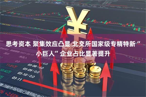 思考资本 聚集效应凸显 北交所国家级专精特新“小巨人”企业占比显著提升