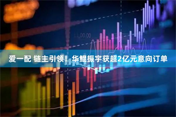 爱一配 链主引领！华鲲振宇获超2亿元意向订单