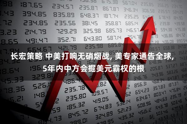 长宏策略 中美打响无硝烟战, 美专家通告全球, 5年内中方会掘美元霸权的根
