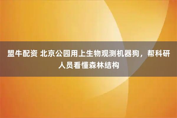 盟牛配资 北京公园用上生物观测机器狗，帮科研人员看懂森林结构
