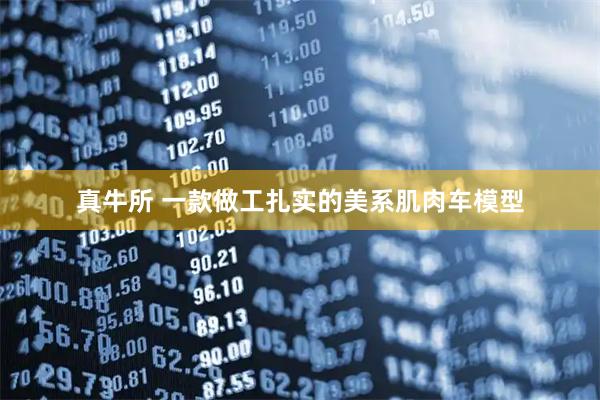 真牛所 一款做工扎实的美系肌肉车模型