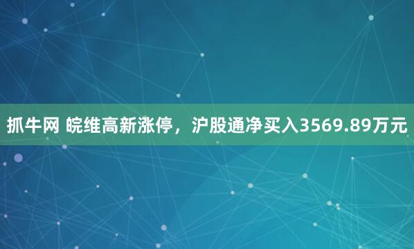 抓牛网 皖维高新涨停，沪股通净买入3569.89万元